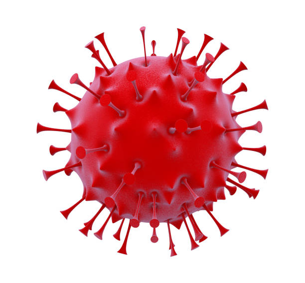 covid 9 certificate - coronavirus germany live map